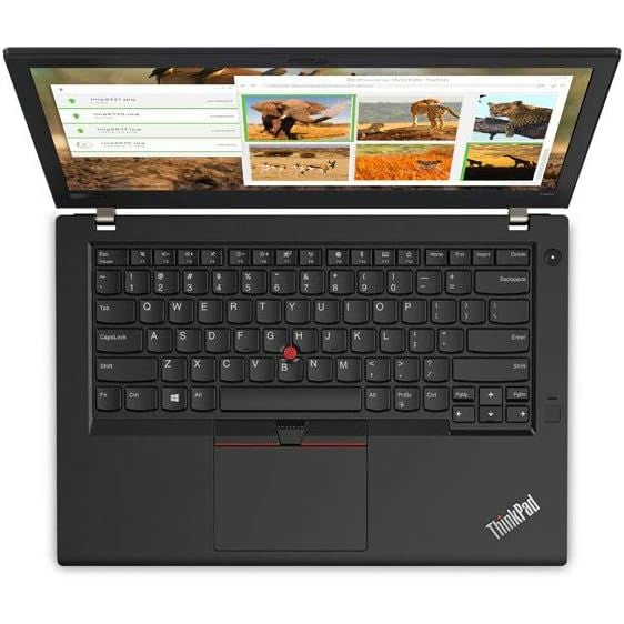 Notebook Lenovo Thinkpad T480 Core I5-8va |16 GB RAM | 256 GB SSD - Excelente Estado