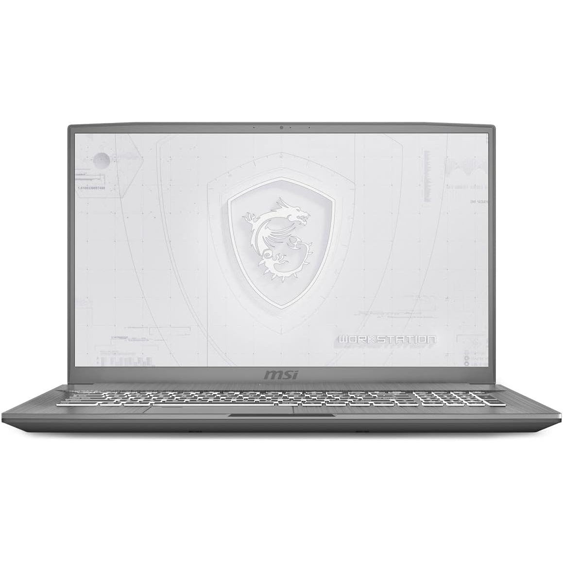 MSI WF75 10TK-424CL Core I7-10ma | RTX 3000 (6GB) | 24GB RAM | 512GB SSD - Buen Estado