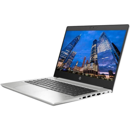 HP ProBook 445 G7 AMD Ryzen 5 | 12GB RAM | 256GB SSD [153N9LT] - Buen Estado